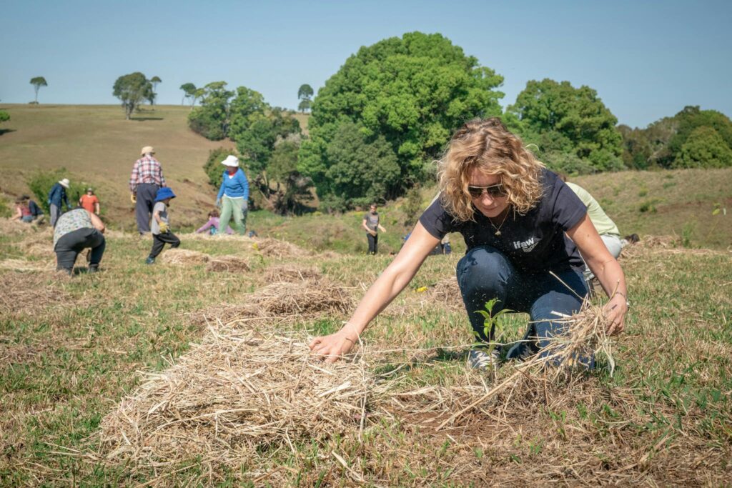 Volunteers participate in a tree planting initiative in Australia, supporting reforestation efforts.